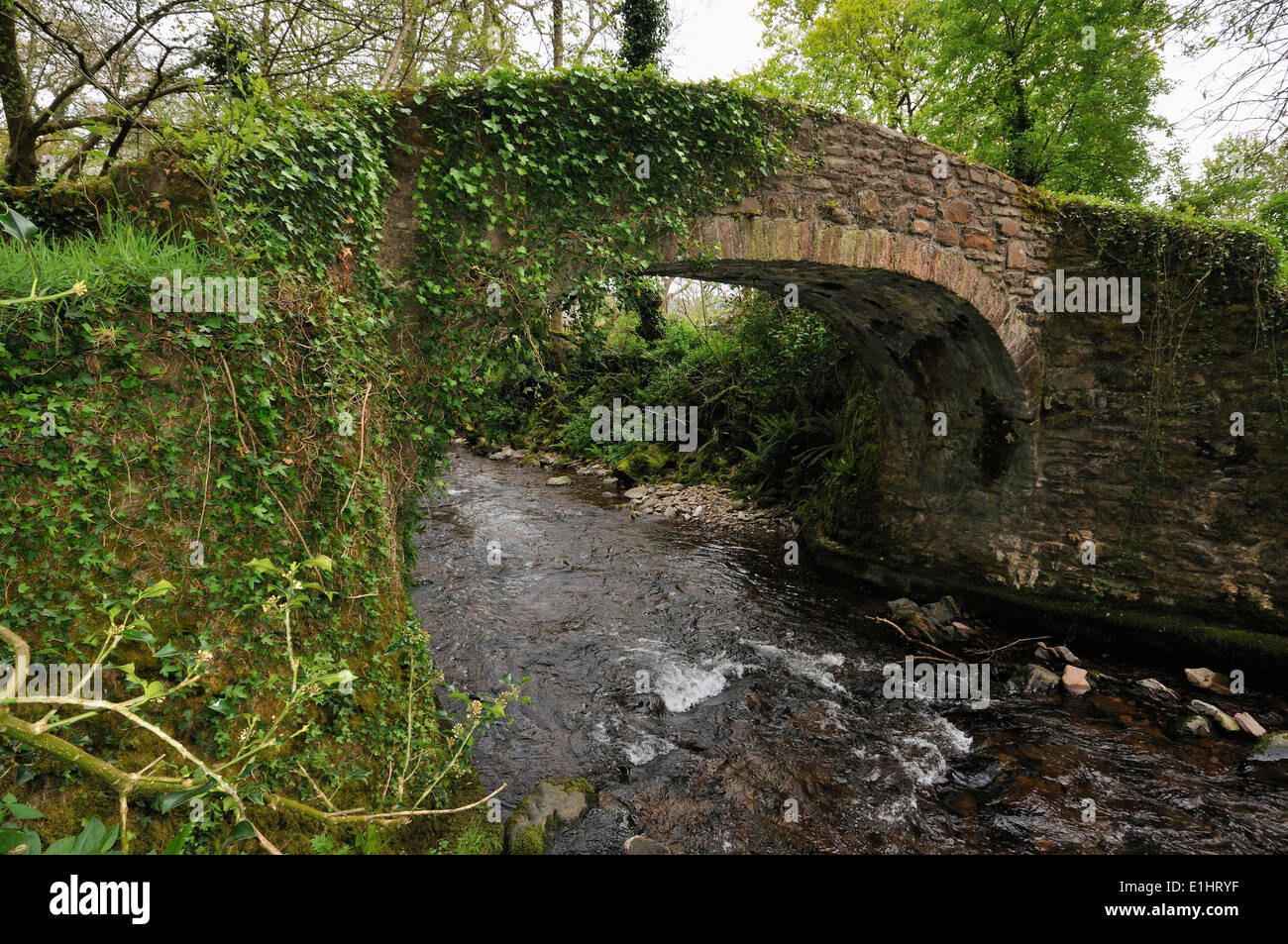 Horner Packhorse bridge over Horner acqua, Exmoor Foto Stock