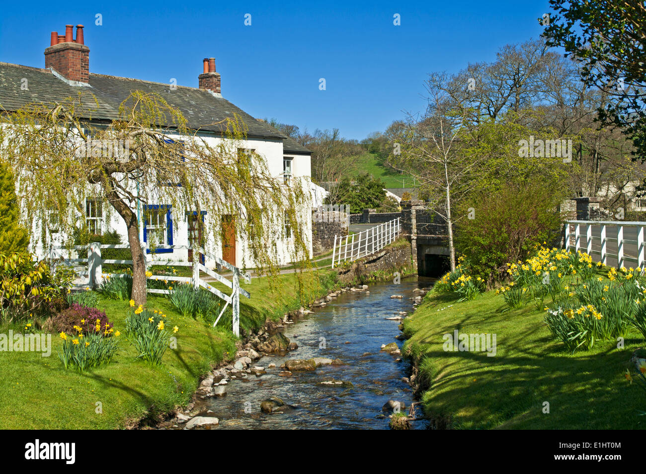 Bianco tradizionale cottage dipinta da un flusso in primavera a Caldbeck village, Cumbria, Parco Nazionale del Distretto dei Laghi England Regno Unito Foto Stock