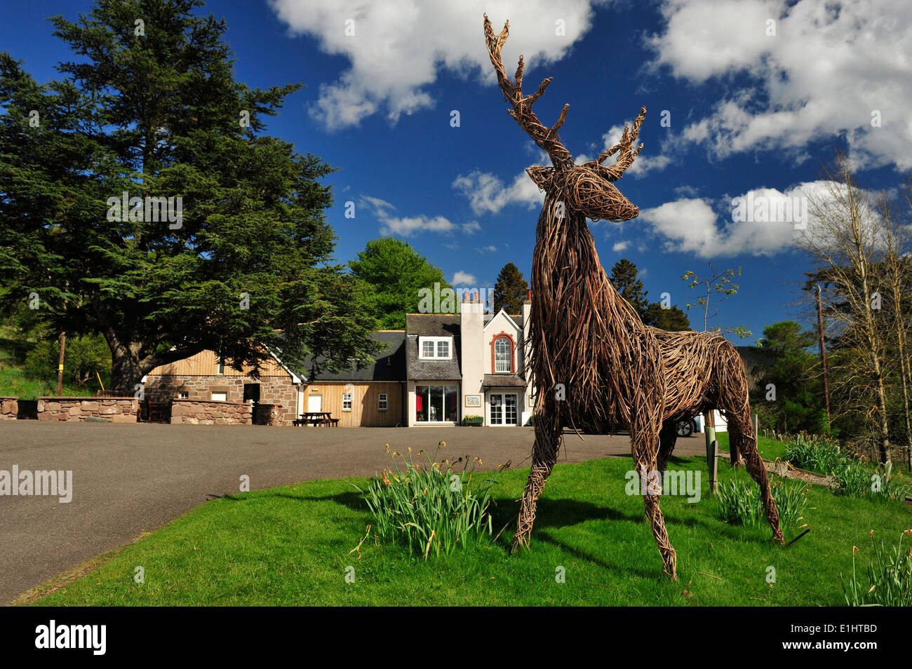 Willow stag scultura al ritiro Folk Museum, Glen Esk, Angus, Scozia. Foto Stock