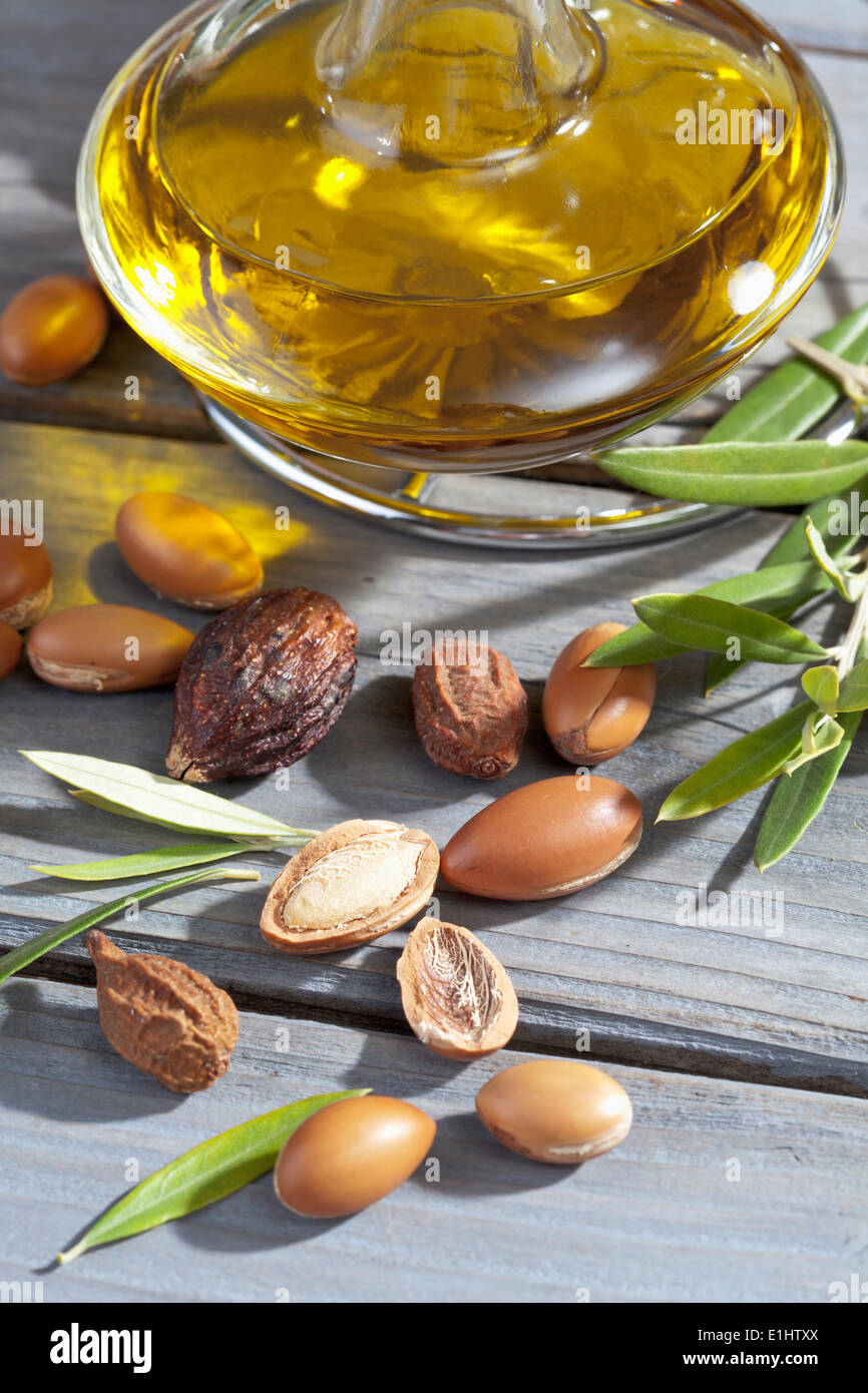 I dadi di Argan, Argania spinosa, di foglie e di olio di Argan bottiglia Foto Stock