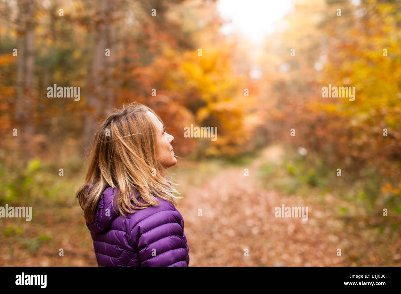 30-35 donna a passeggiare nel bosco in autunno, Northumberland, Inghilterra Foto Stock