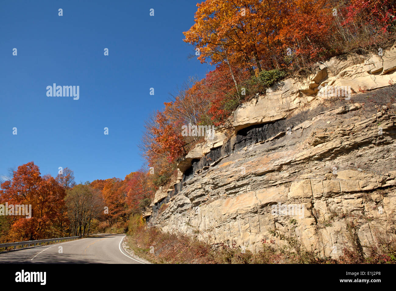 Monti Appalachi, saggio, Virginia Foto Stock