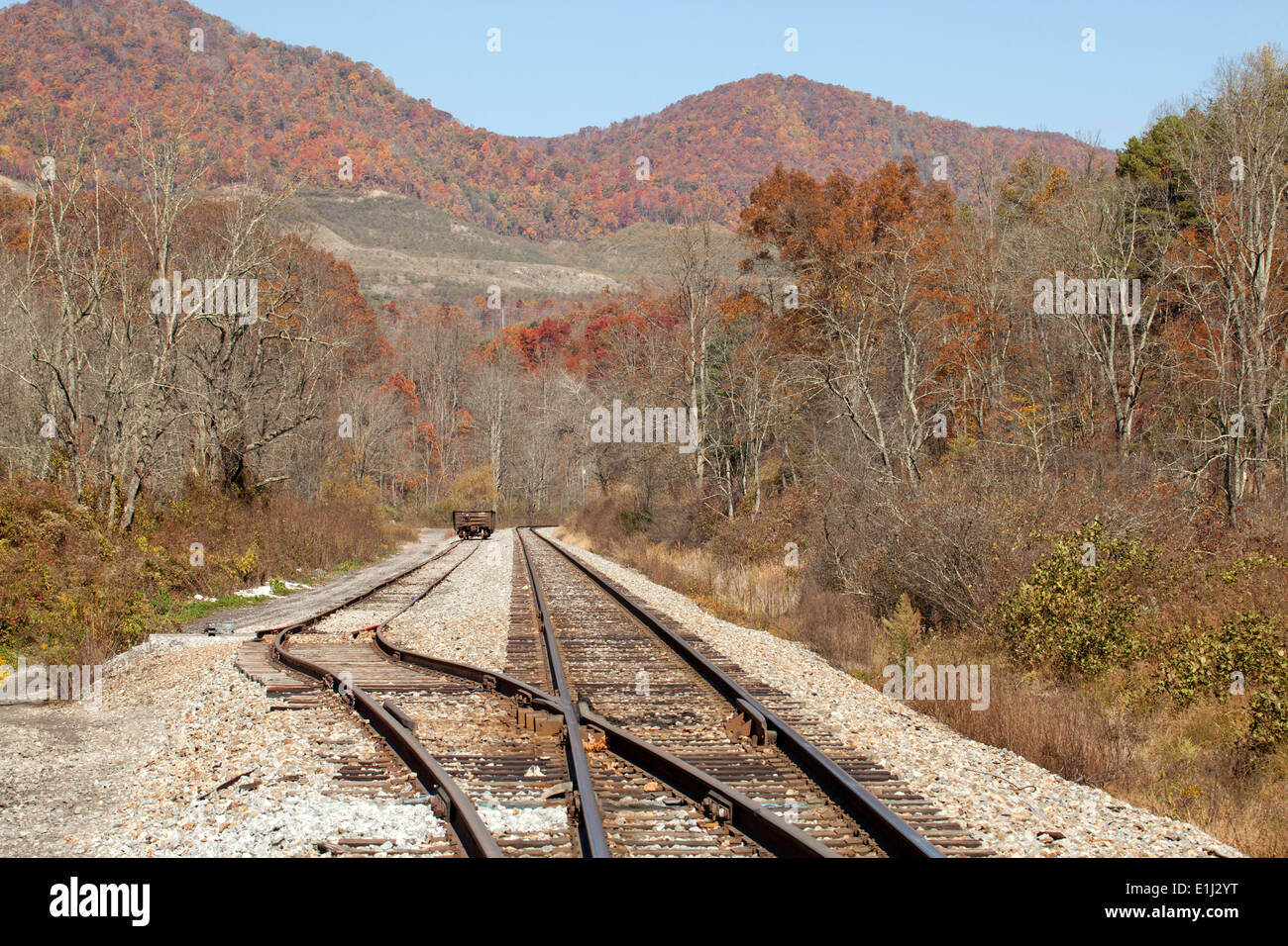 Monti Appalachi, saggio, Virginia Foto Stock