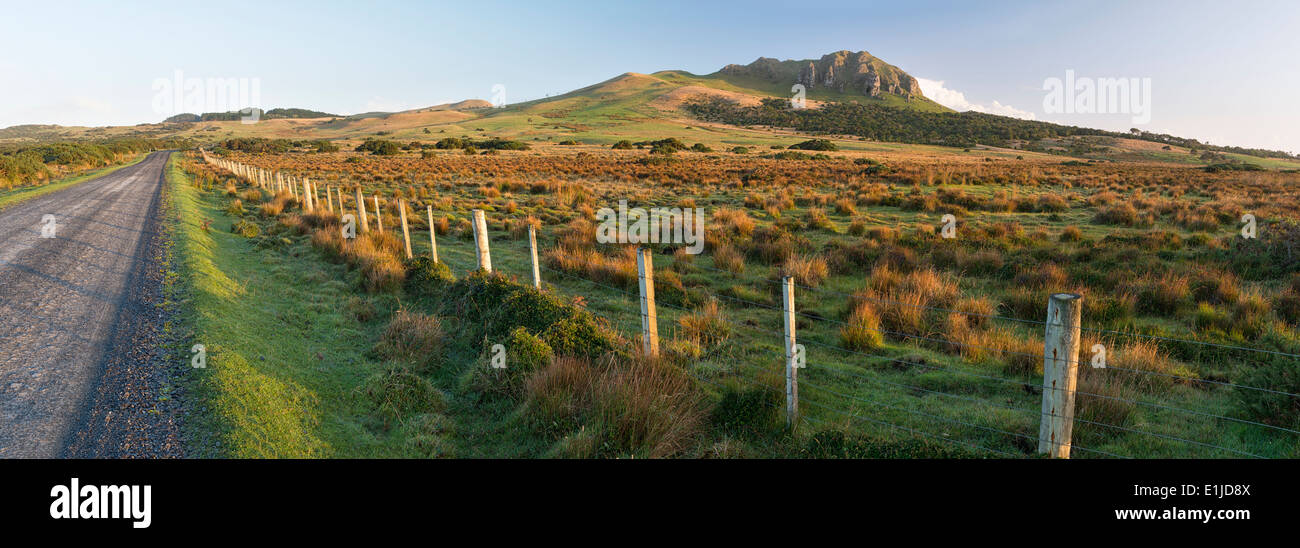 Nuova Zelanda, Isola Chatham, Wharekauri strada di ghiaia e colline nella luce del mattino Foto Stock
