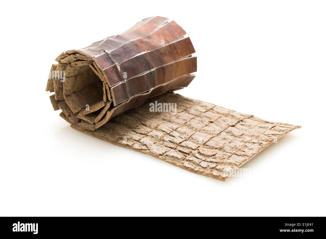 Medicina Tradizionale Cinese eucommia Foto Stock