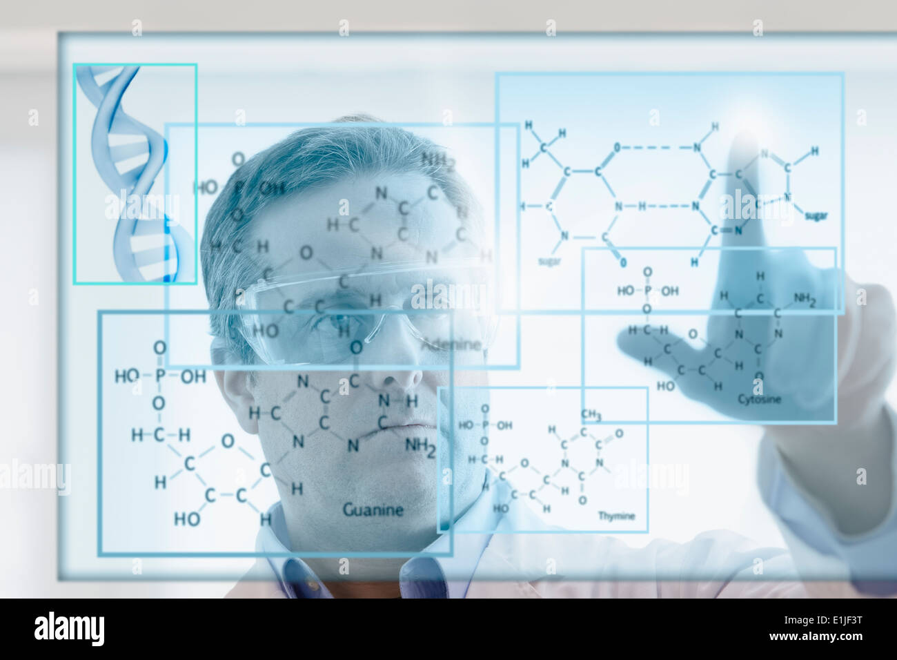 Scienziato lo studio del DNA Foto Stock