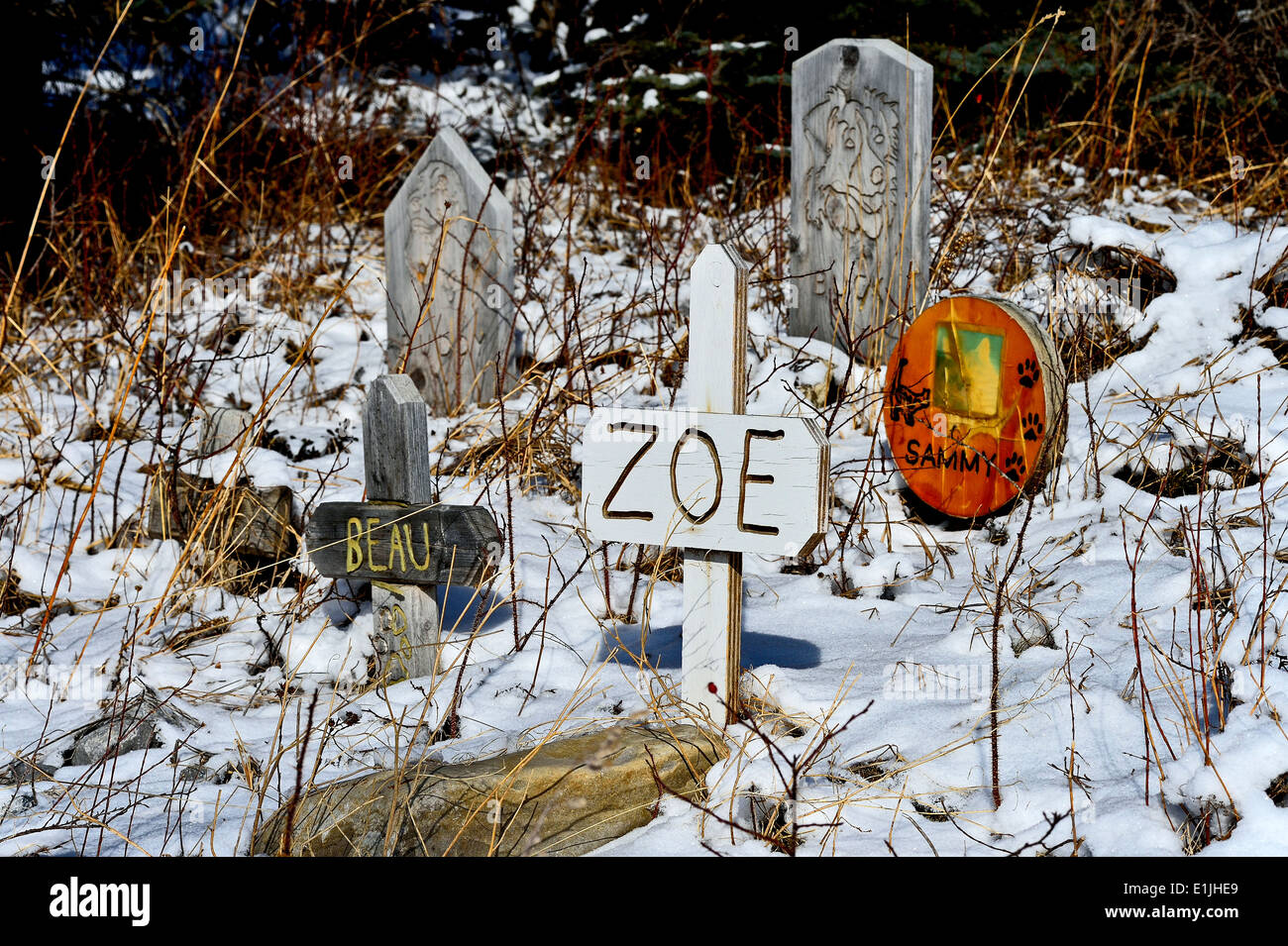 I marcatori di grave in un cimitero rurale per animali domestici in western Alberta Canada Foto Stock