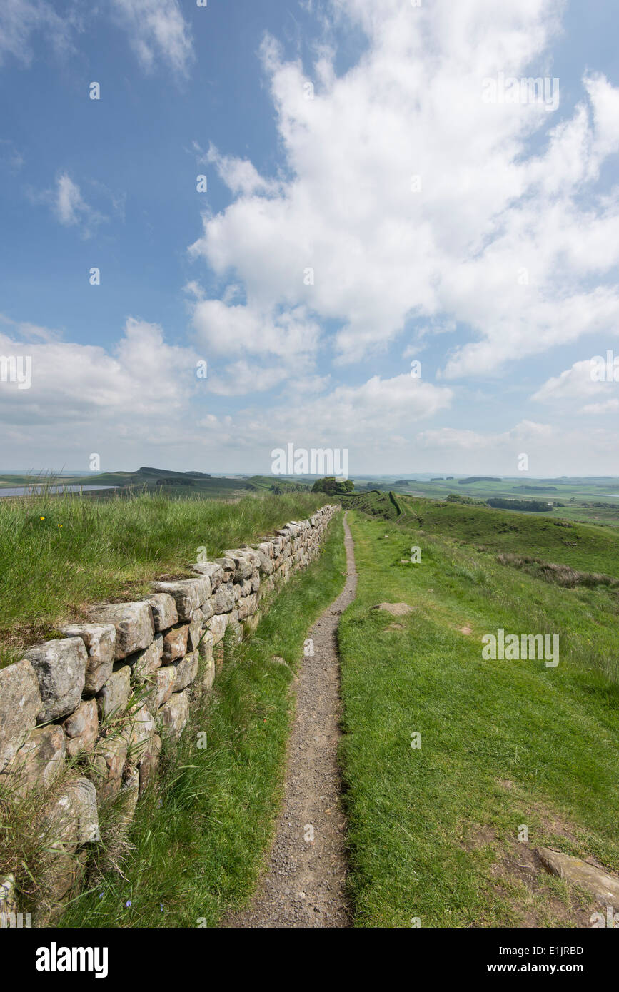 Un colpo di Vallo di Adriano in Inghilterra. Resti di frontiera muro costruito dai romani in corrispondenza del bordo del loro impero. Foto Stock