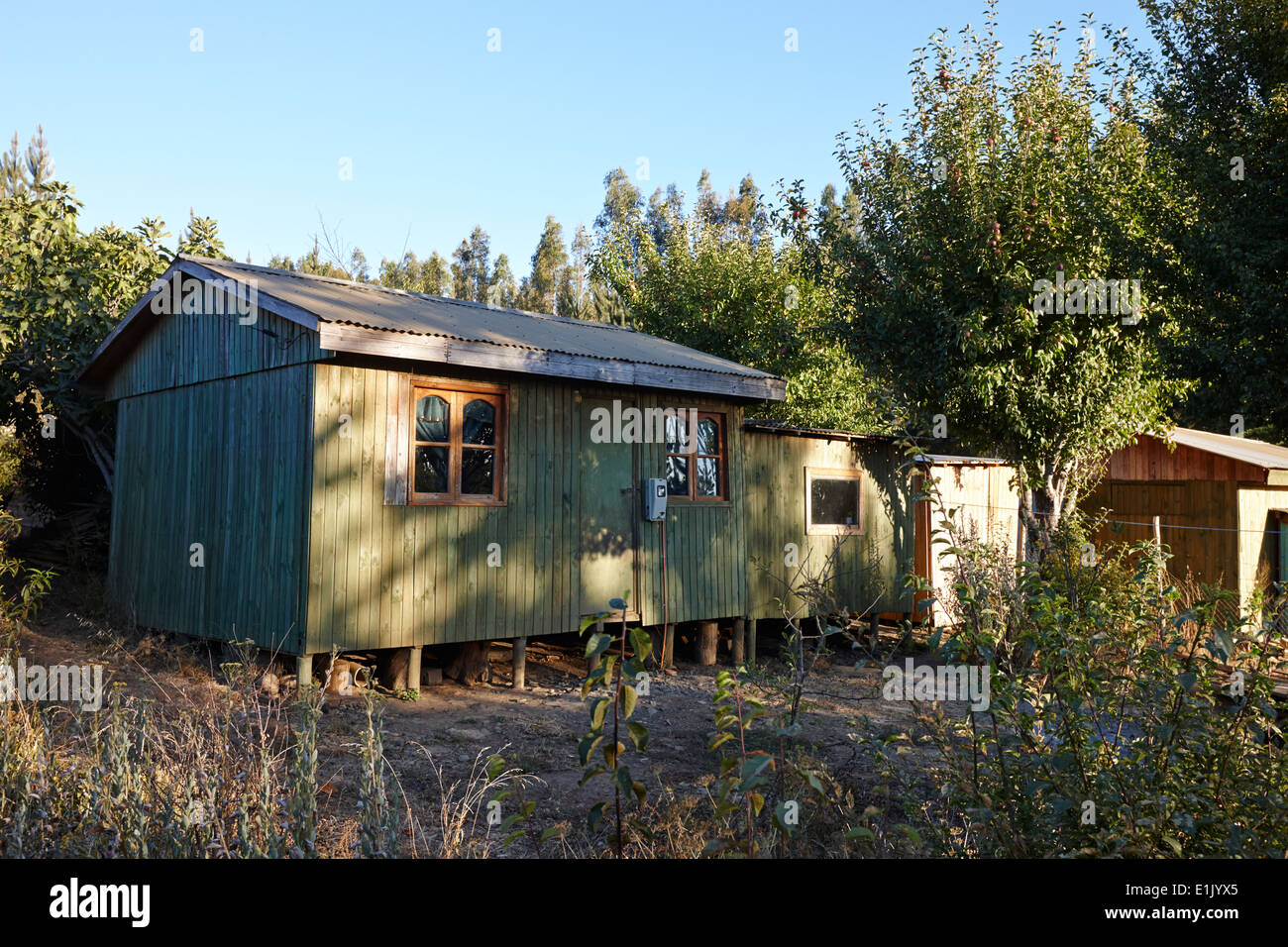 Piccola capanna in legno case in zone rurali distanti los pellines Cile Foto Stock