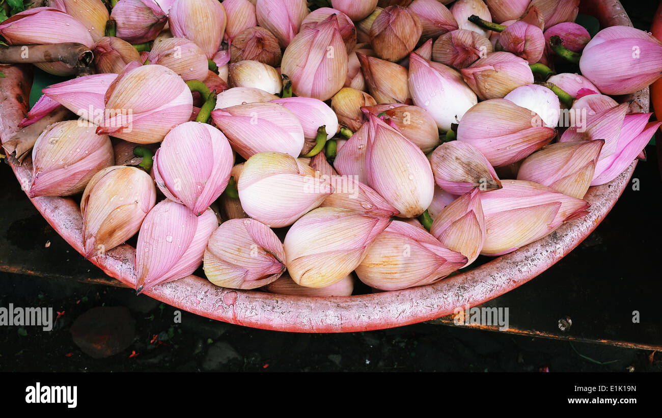 Lotus per la vendita,mercato indiano, flowermakrket,Kerala, India Foto Stock