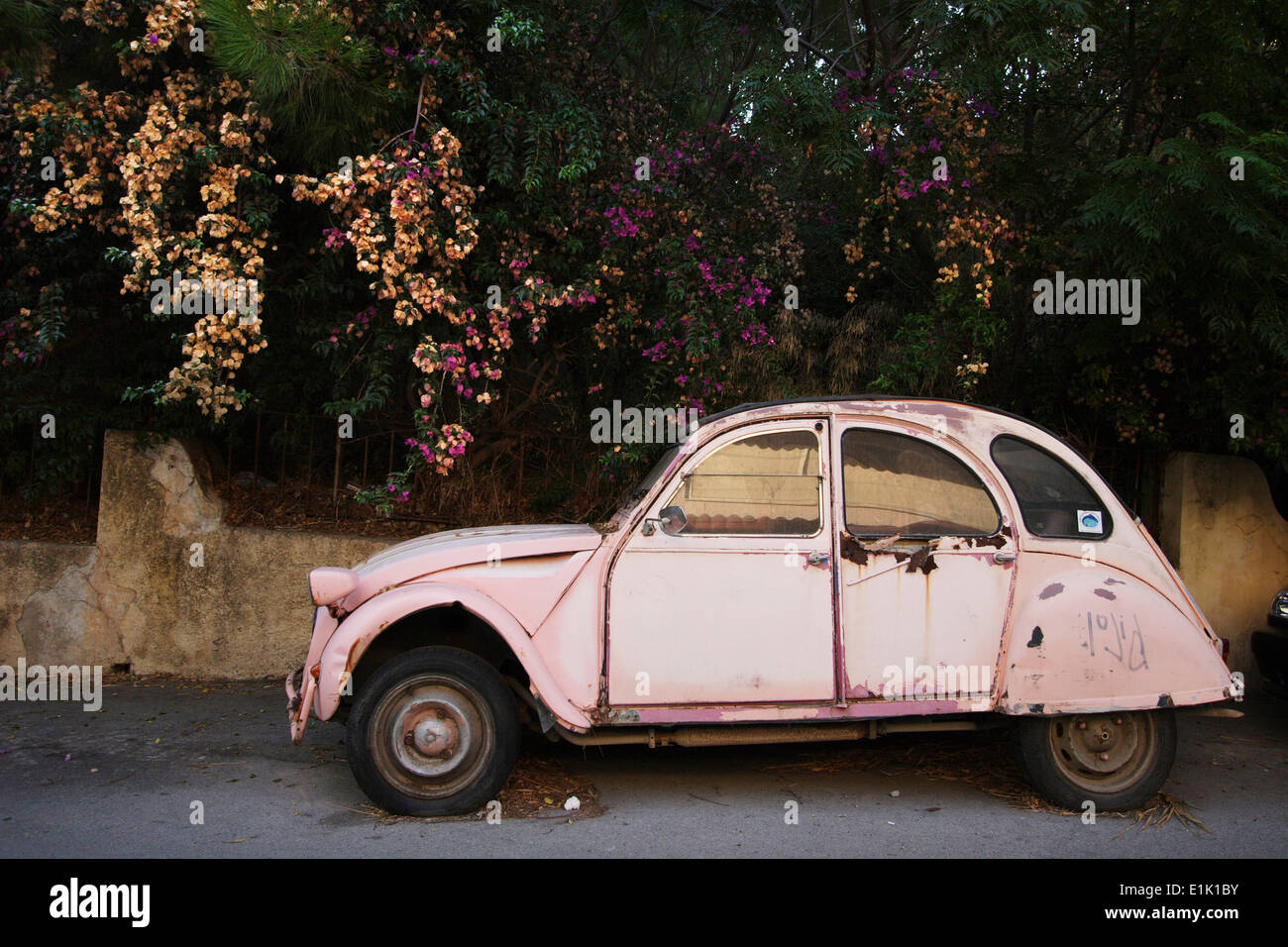 Vecchia auto rosa, rododendri, l' Isola di Rodi RODI ,Grecia - Foto Stock