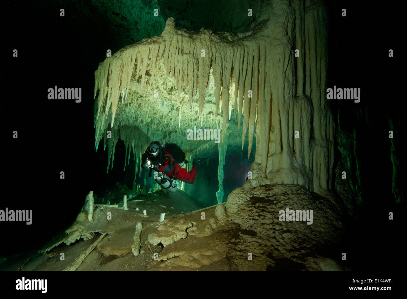 Messico, Tulum, grotta subacqueo ad esplorare il sistema Nohoch Na Chich Foto Stock