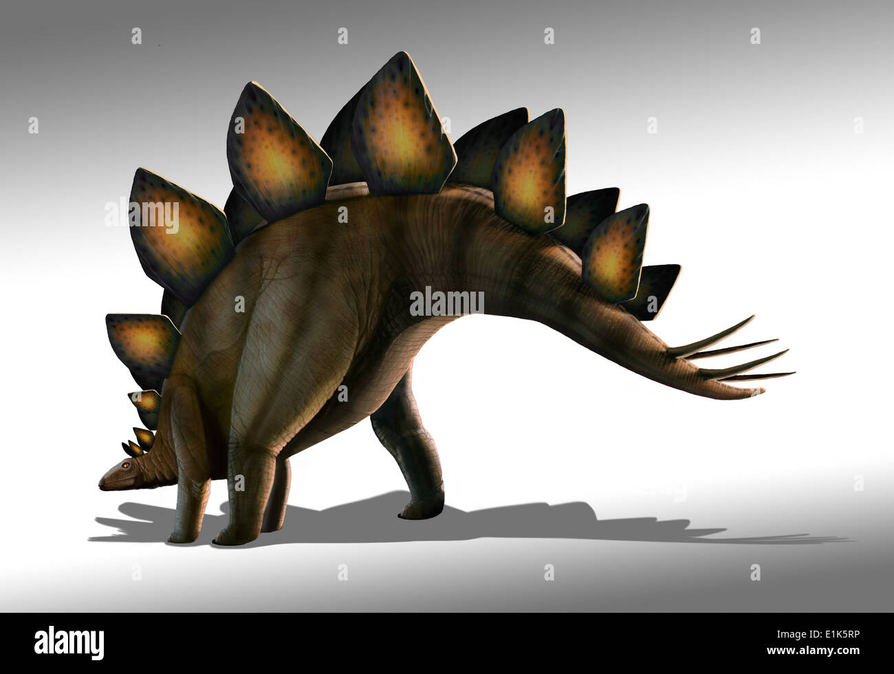 Dinosauro Stegosaurus computer artwork Stegosaurus era un dinosauro erbivori era a circa 9 metri di lunghezza e di 2,75 metri di altezza Foto Stock