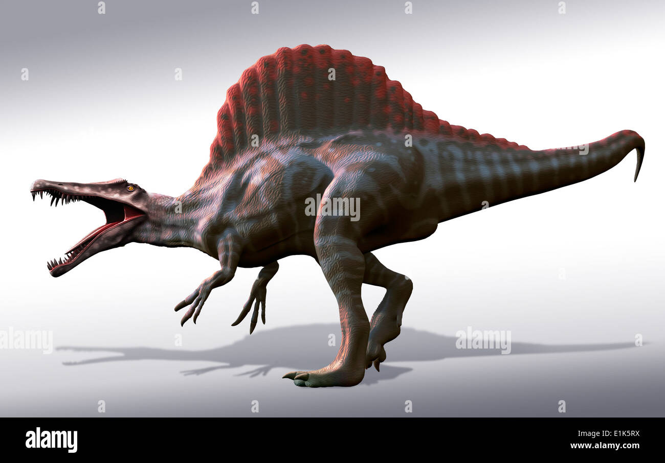 Spinosaurus (significato 'spine lizard') è stato probabilmente il più grande conosciuto il mangiar carne dinosauro era ancor di più rispetto a Tyrannosaurus Foto Stock