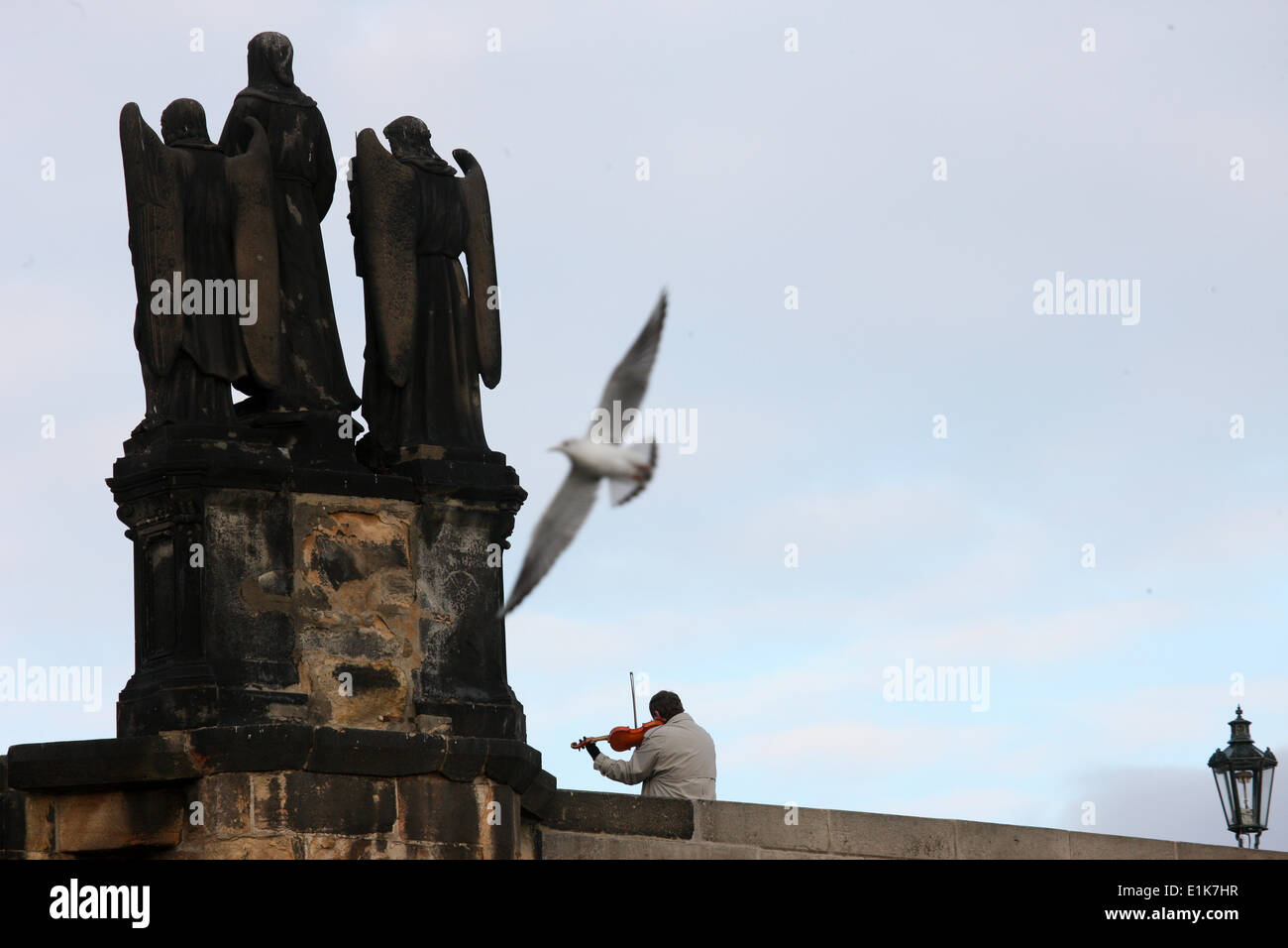 Musicista, seagull e scultura religiosa sul Ponte Carlo. Foto Stock