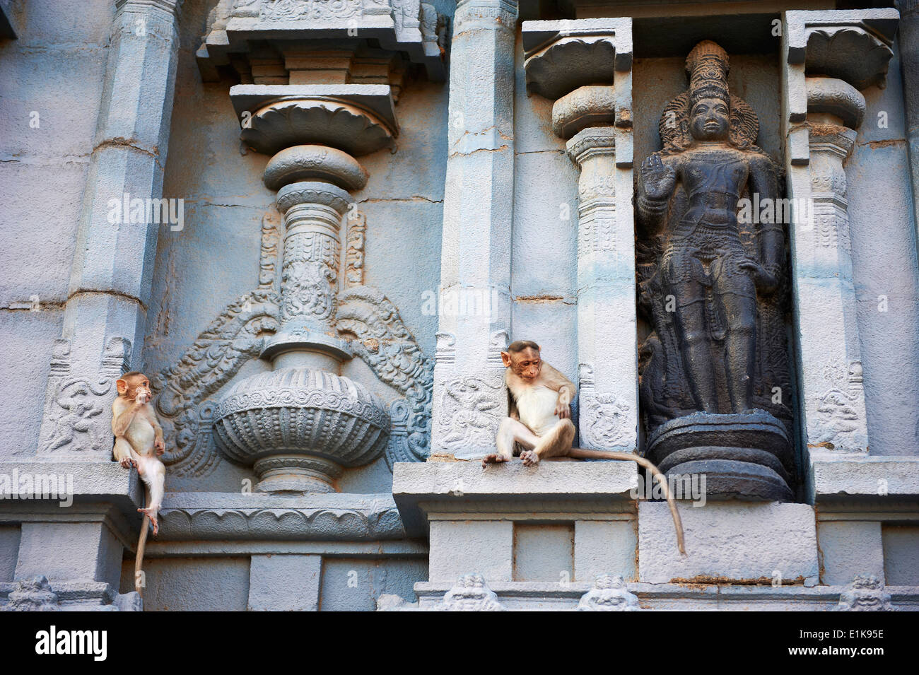 India, nello Stato del Tamil Nadu, Kanchipuram, Kamakshi Amman Foto Stock