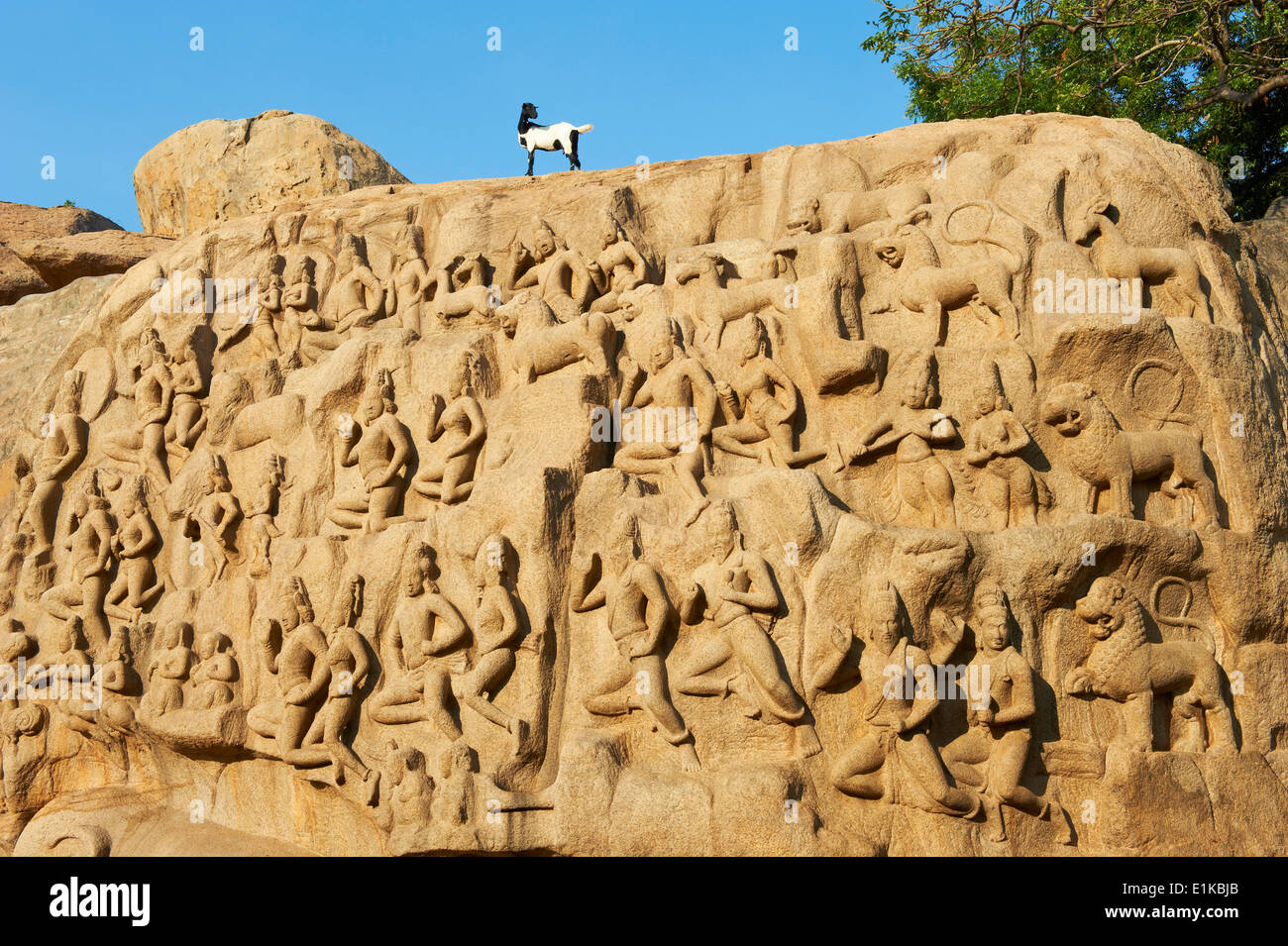 India, nello Stato del Tamil Nadu, Mamallapuram o Mahabalipuram, Arjunas penitenza sculture di granito, Patrimonio Mondiale dell Unesco Foto Stock