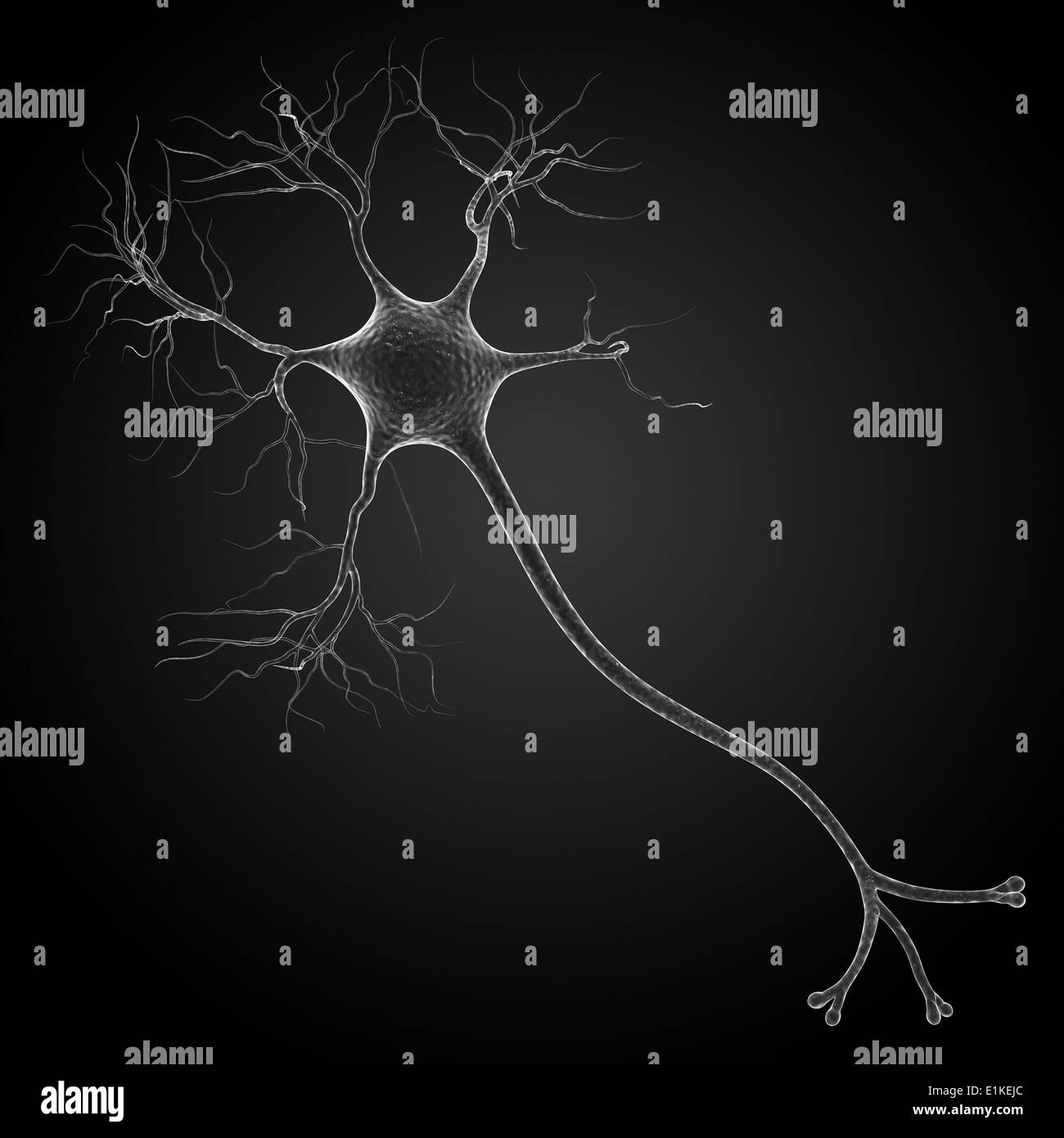 Cellula nervosa computer grafica. Foto Stock