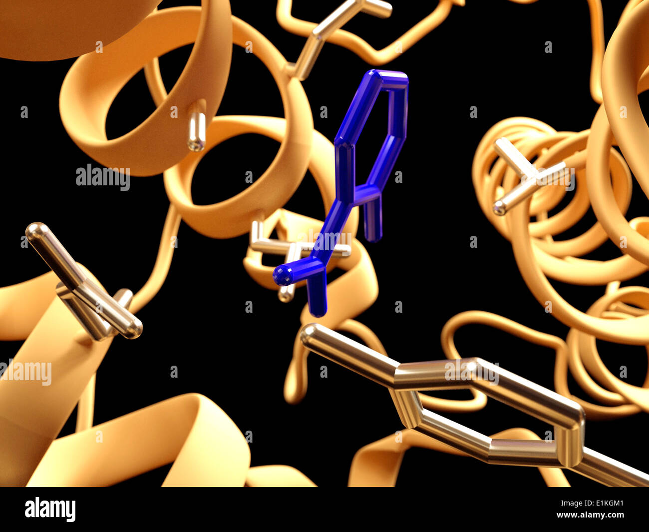 L'aspirina in azione Computer illustrazione che mostra come aspirina ha il suo effetto Aspirina (acido acetilsalicilico) viene convertito in acido salicilico Foto Stock