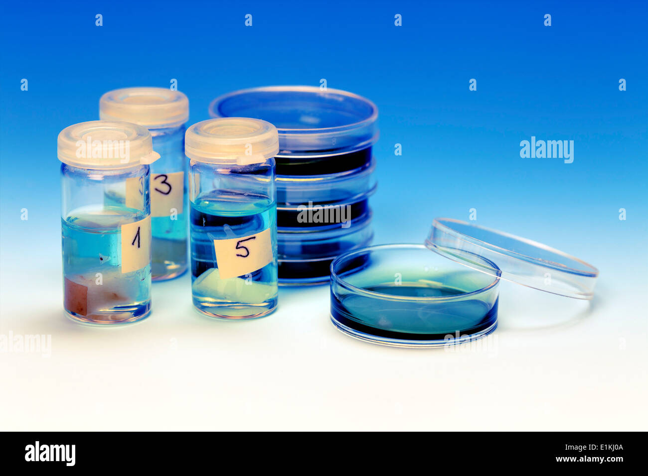 Piastre di Petri e fiale mediche studio shot. Foto Stock