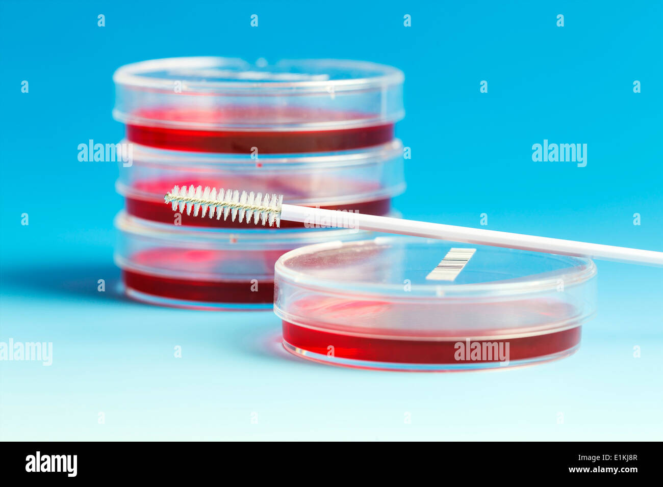 In capsule di Petri e un raccoglitore di cellule contro uno sfondo blu. Foto Stock