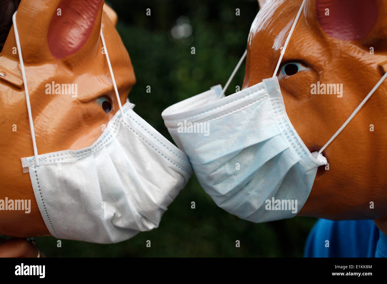 I bambini che indossano maschere di maiale e influenza le maschere Foto Stock