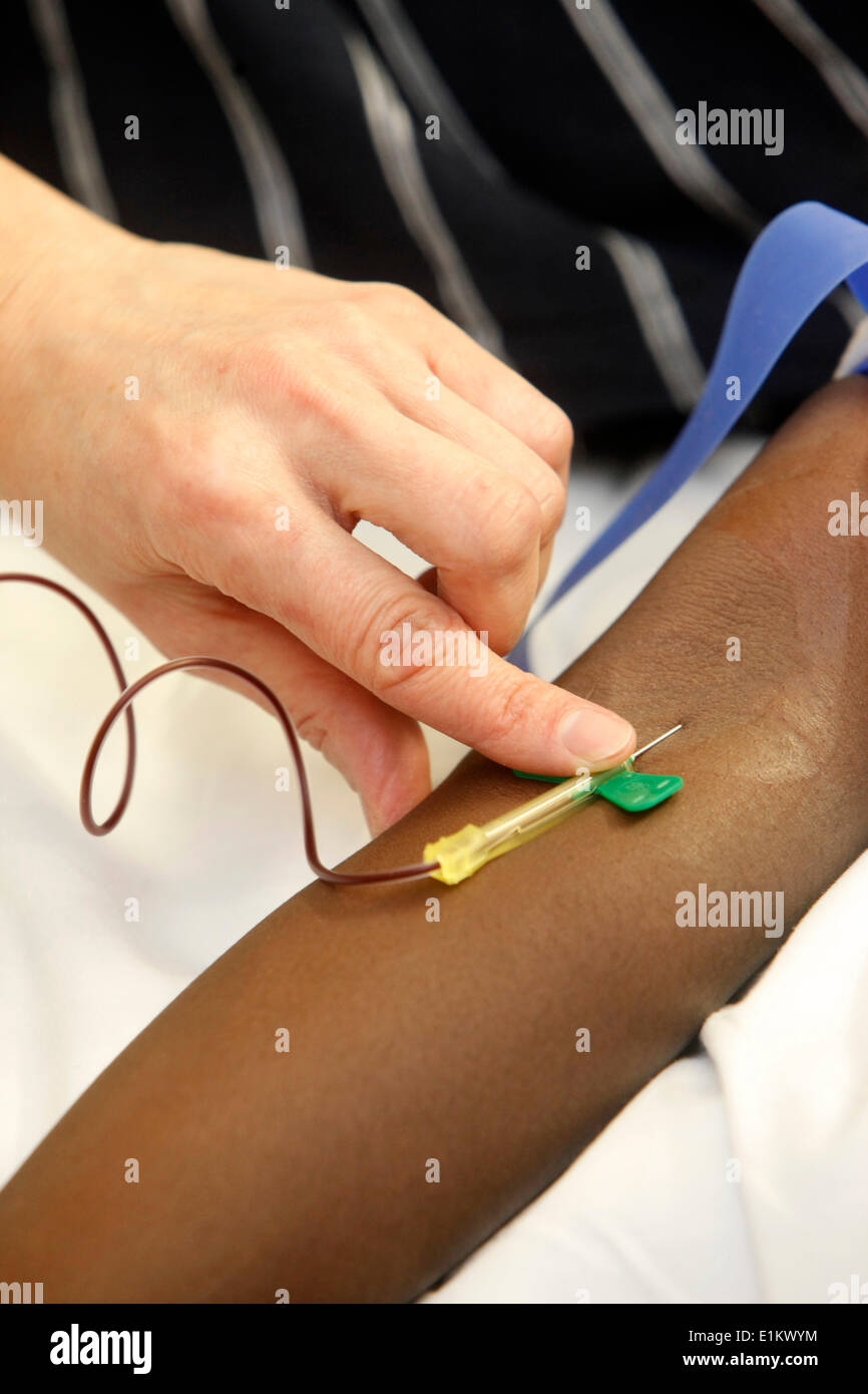 Analisi del sangue Foto Stock