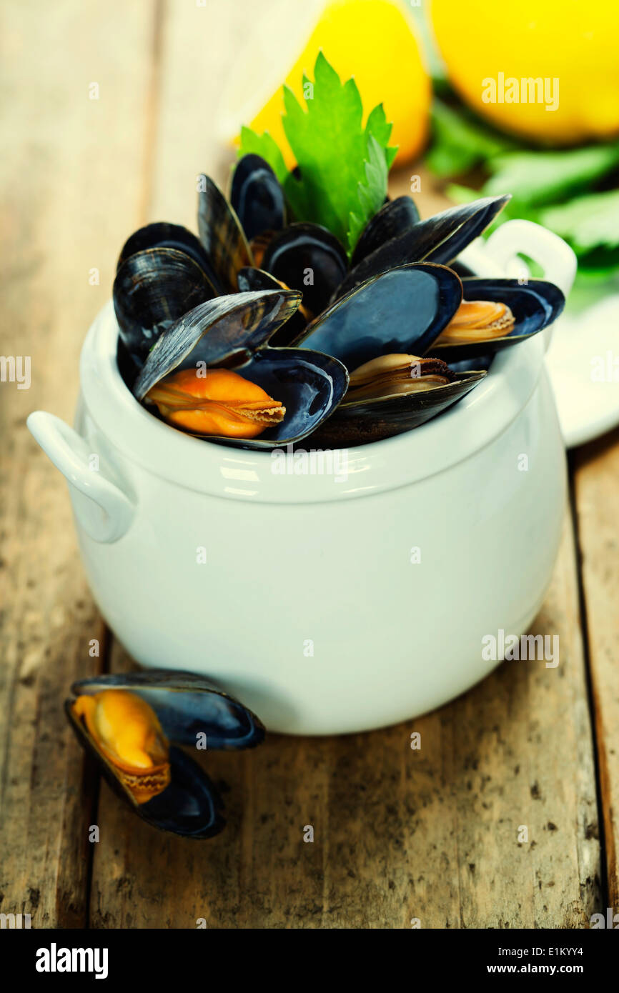 Cozze cotte con salsa di vino bianco in una pentola di bianco Foto Stock