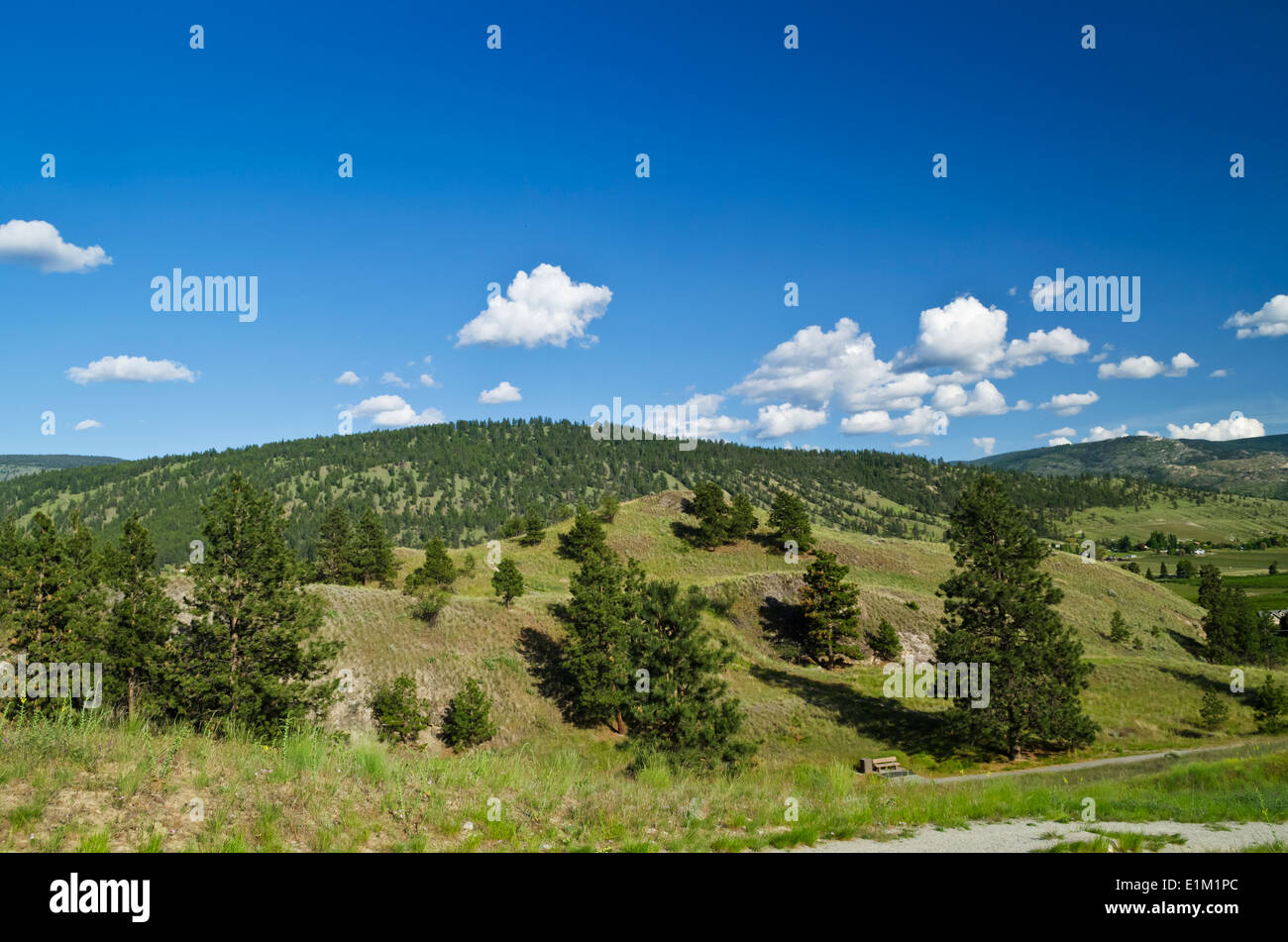 Montagne verdi, alberi e cielo blu, nella zona dell'Okanagan della Columbia britannica in Canada. Vicino a Penticton, BC. Okanagan Valley. Verdi colline. Foto Stock