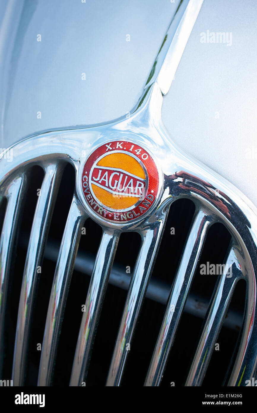 Jaguar XK 1450 grill e il badge. Foto Stock