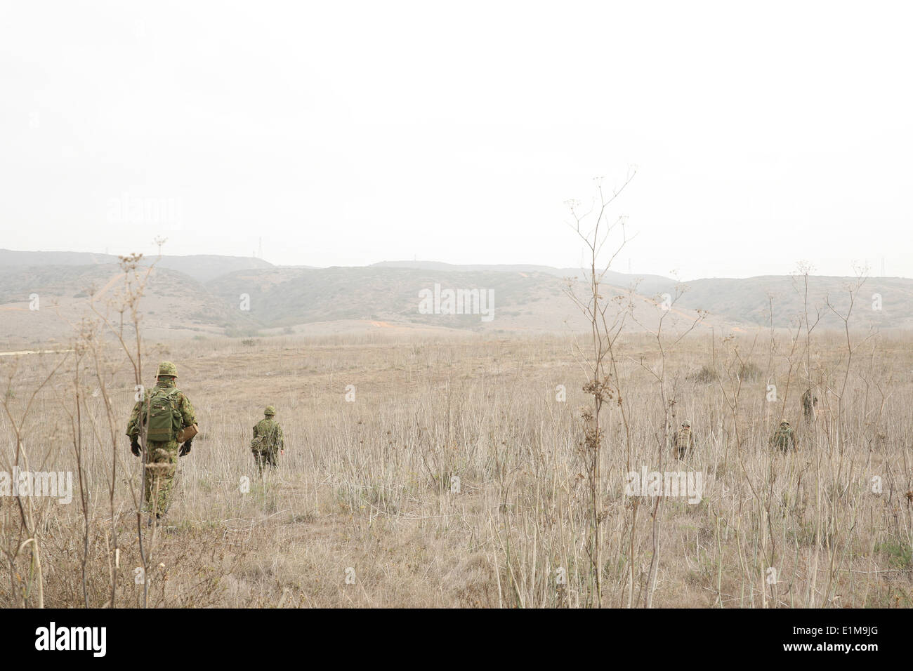 Giappone terra Forza di Autodifesa soldati condotta della navigazione terrestre con U.S. Marines con il primo Air Naval spari Liaison Compa Foto Stock