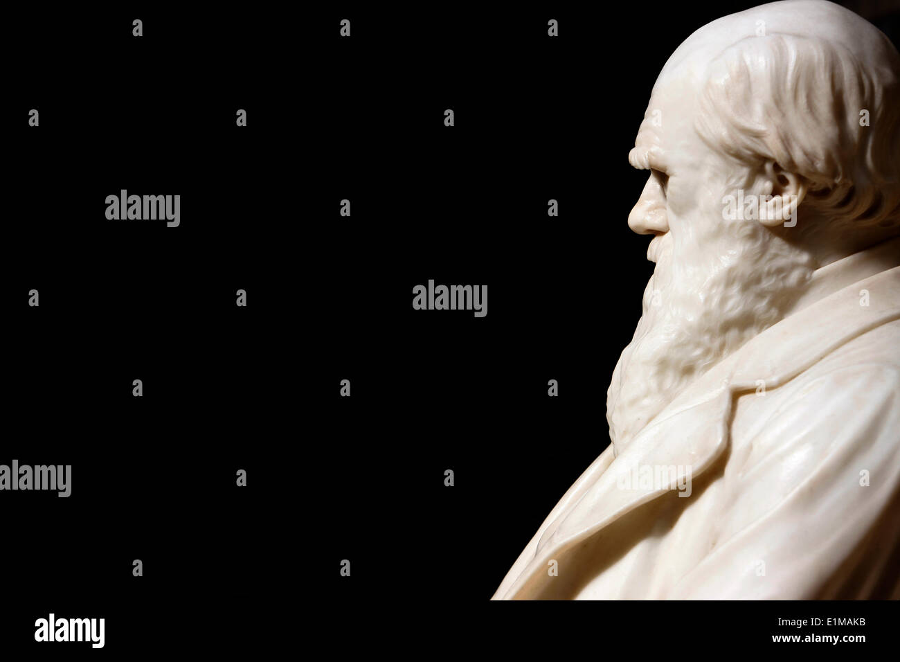 Statua di Darwin nel Museo di Storia Naturale di Londra Foto Stock