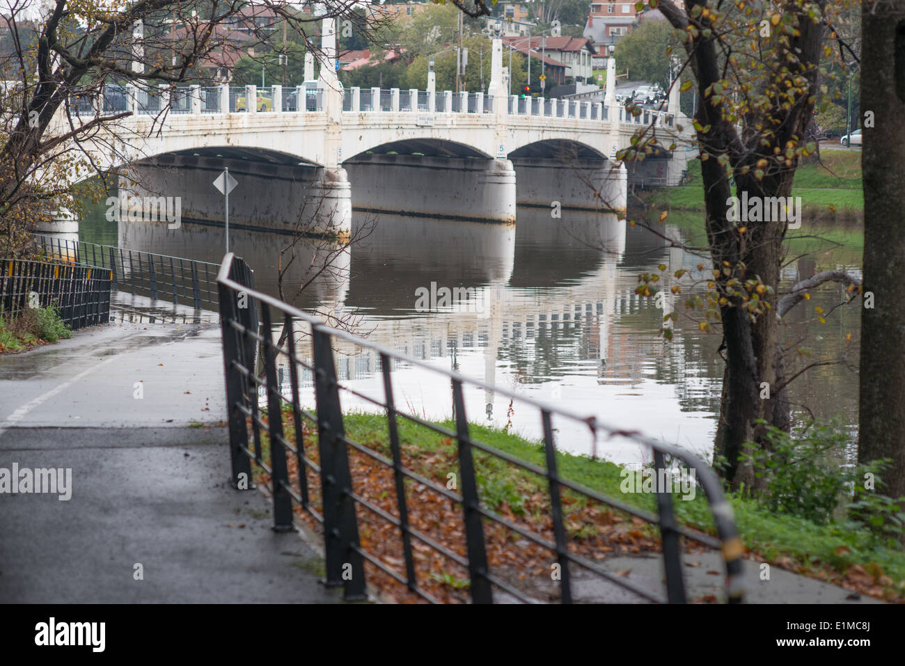 Yarra Valley Trail, Melbourne Foto Stock