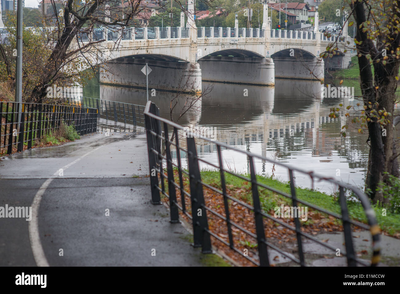 Yarra Valley Trail, Melbourne Foto Stock