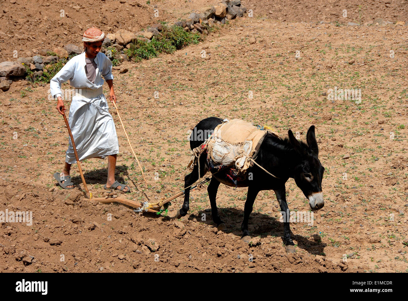 Contadino yemenita Foto Stock