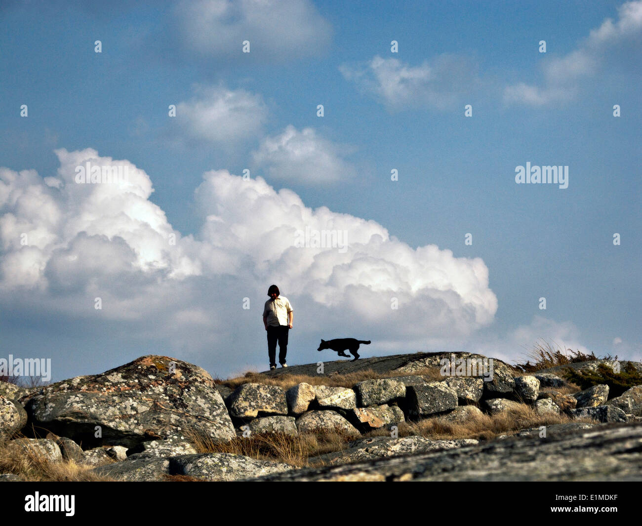 Torbjörn "" Ebbot Lundberg dalla colonna sonora della nostra vita con il mio cane Fanny camminando per le scogliere in Särö, Svezia. Foto Stock