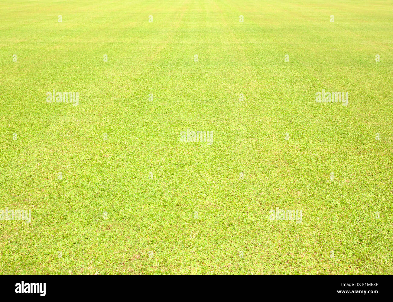 Greensward campo di calcio sfondo verde cura la personalizzazione. Foto Stock