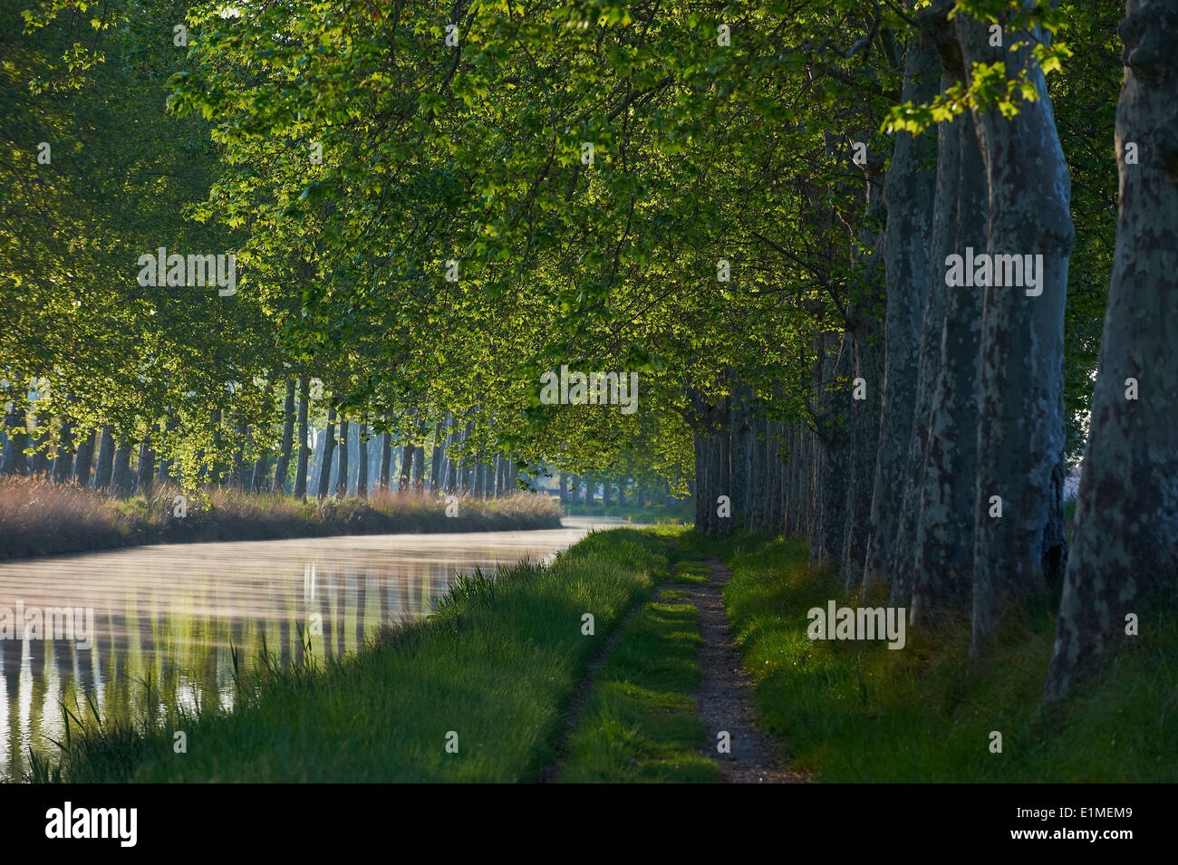 France, Languedoc-Roussillon, Herault depatment, Canal du Midi Capestang vicino Foto Stock