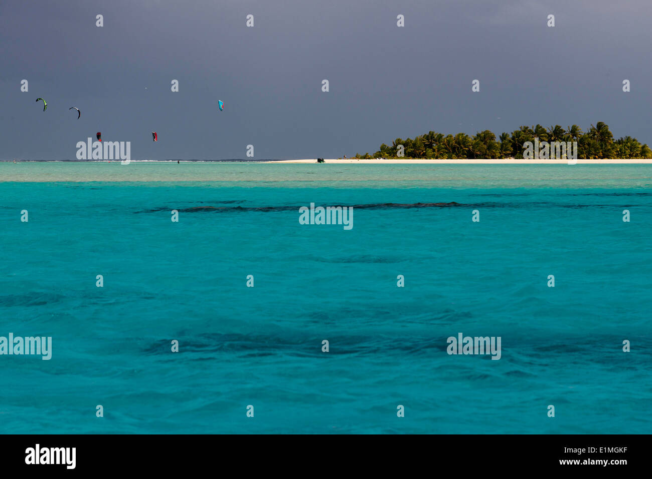 Aitutaki. Isole Cook. Polinesia. Oceano Pacifico del sud. Facendo snorkeling in Aitutaki Lagoon (crociera). La barriera corallina che Foto Stock