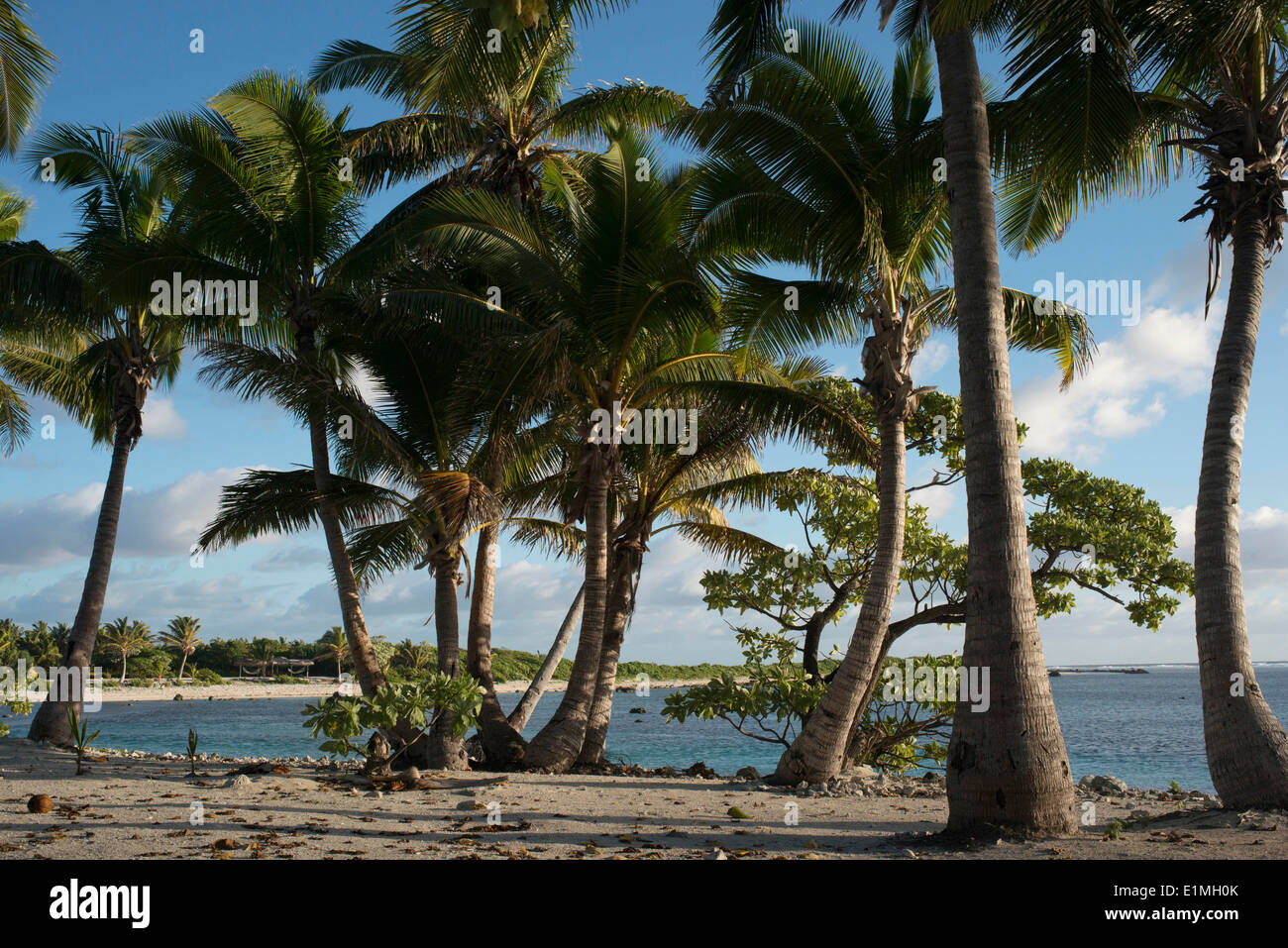 Aitutaki. Isole Cook. Polinesia. Oceano Pacifico del sud. Spiaggia di Aitutaki Lagoon Resort & Spa Hotel. Il paradiso è un molto-overused Foto Stock