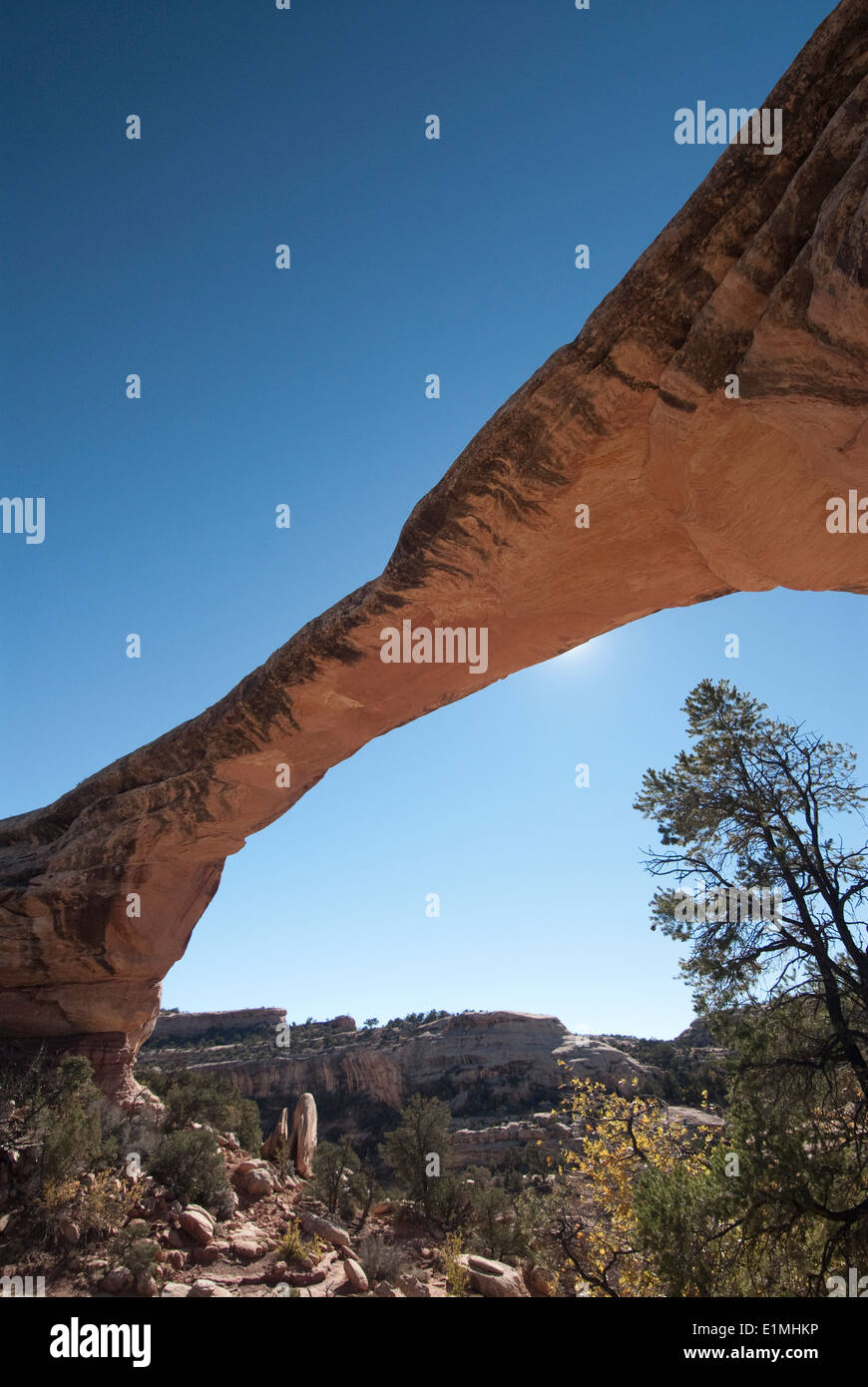 Stati Uniti d'America, Utah, ponti naturali monumento nazionale, Owachomo Bridge Foto Stock