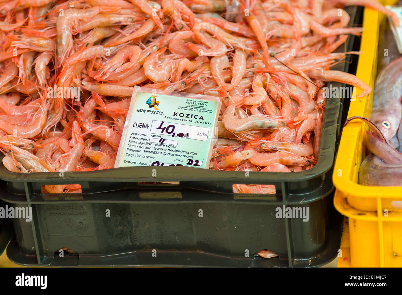 Un assortimento di scampi freschi sono esposti per la vendita a split giornalmente al mercato del pesce Foto Stock