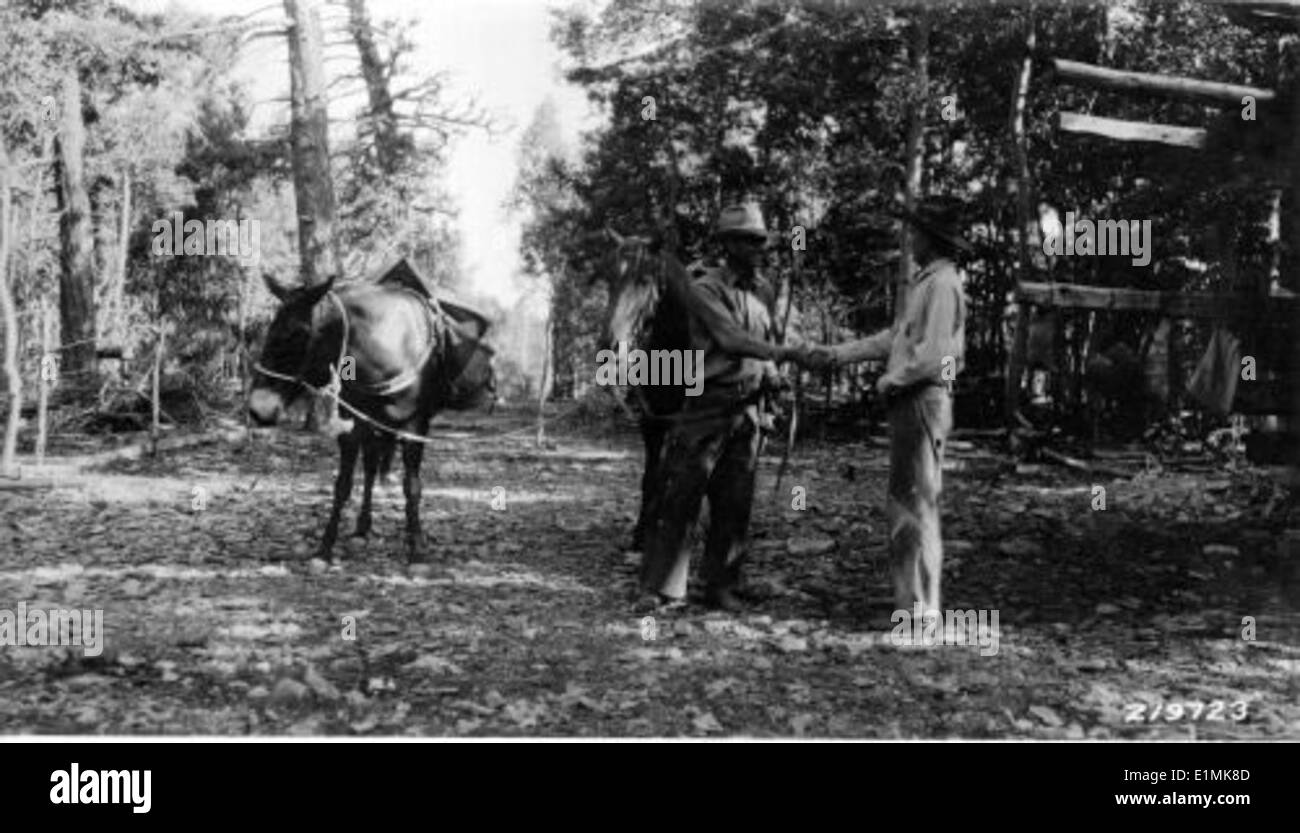 Una foto in bianco e nero che raffigura un uomo a cavallo in un punto panoramico, probabilmente parte di uno storico ranger post, che offre uno sguardo sulla gestione precoce della fauna selvatica e sulla protezione della foresta. Foto Stock