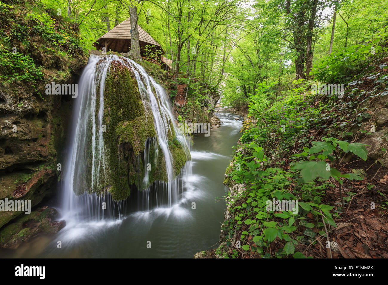 Bigar cascata cade nella Nera Beusnita Gorges National Park, Romania Foto Stock