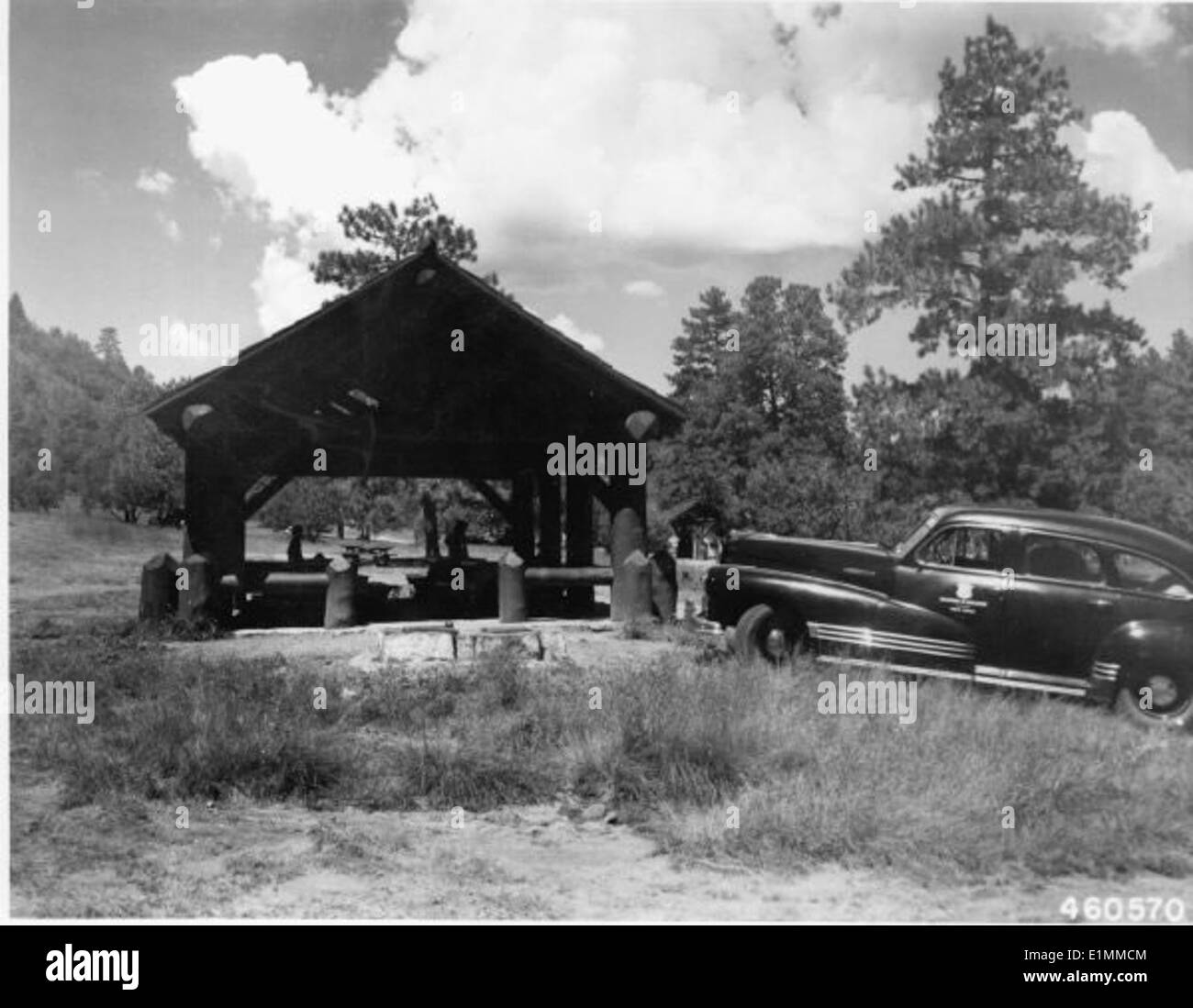 Una storica fotografia in bianco e nero di alberi nella foresta automobilistica, con la Lincoln National School visibile sullo sfondo. Questo luogo mette in risalto l'interazione della natura e del patrimonio culturale della zona. Foto Stock