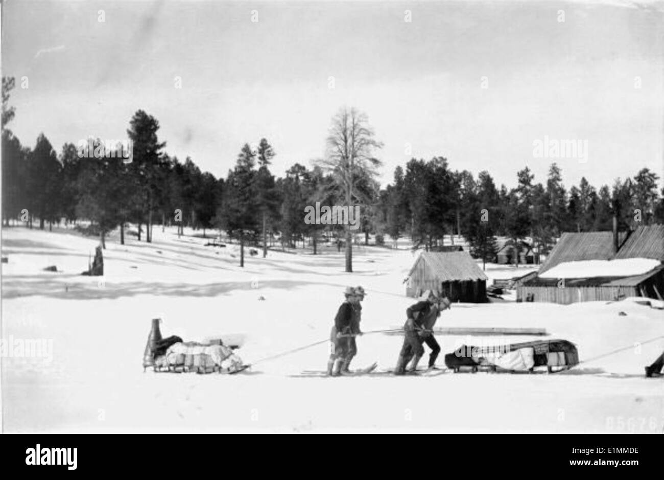Questa storica immagine in bianco e nero cattura le persone della foresta durante i mesi invernali, raffigurando il loro rapporto con la natura e la sopravvivenza in ambienti difficili. La foto probabilmente riflette le sfide e la resilienza di coloro che vivono in aree boschive durante le stagioni più fredde, sottolineando il loro legame con la terra e il paesaggio naturale mutevole. Foto Stock