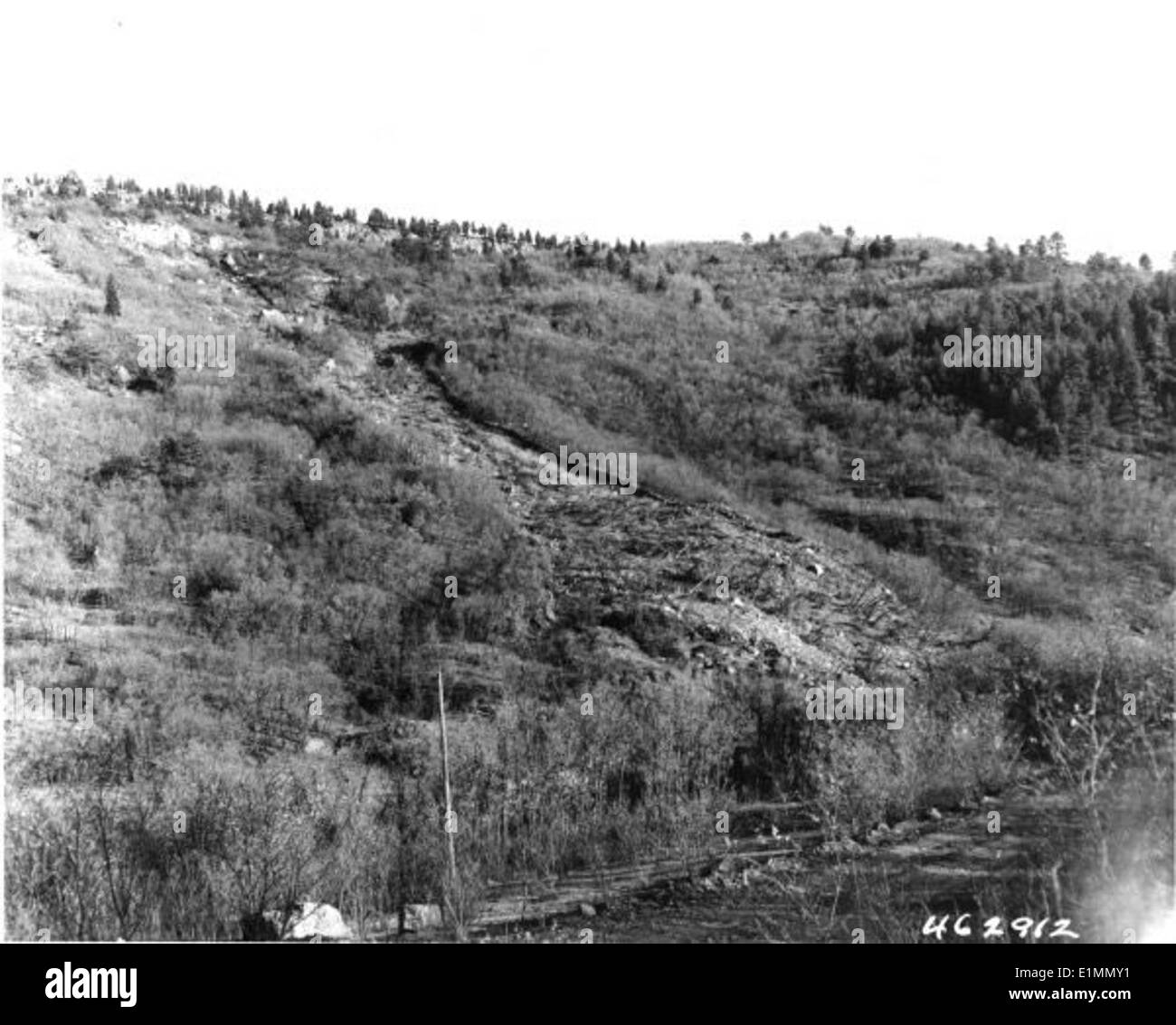 Un'immagine in bianco e nero della foresta nazionale di Coronado mostra le conseguenze di una frana storica. Il paesaggio è stato modellato dalle forze dell'erosione e delle calamità naturali, riflettendo i cambiamenti dinamici dell'ambiente. Foto Stock
