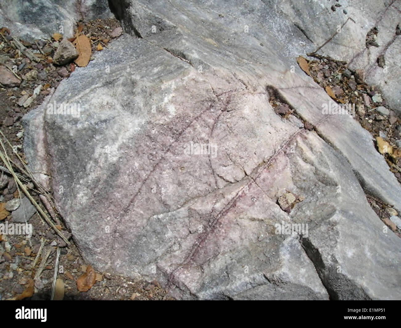 Il marmo è una roccia metamorfica formata da calcare attraverso il calore e la pressione, spesso apprezzata per il suo uso nella scultura e nell'architettura. Foto Stock