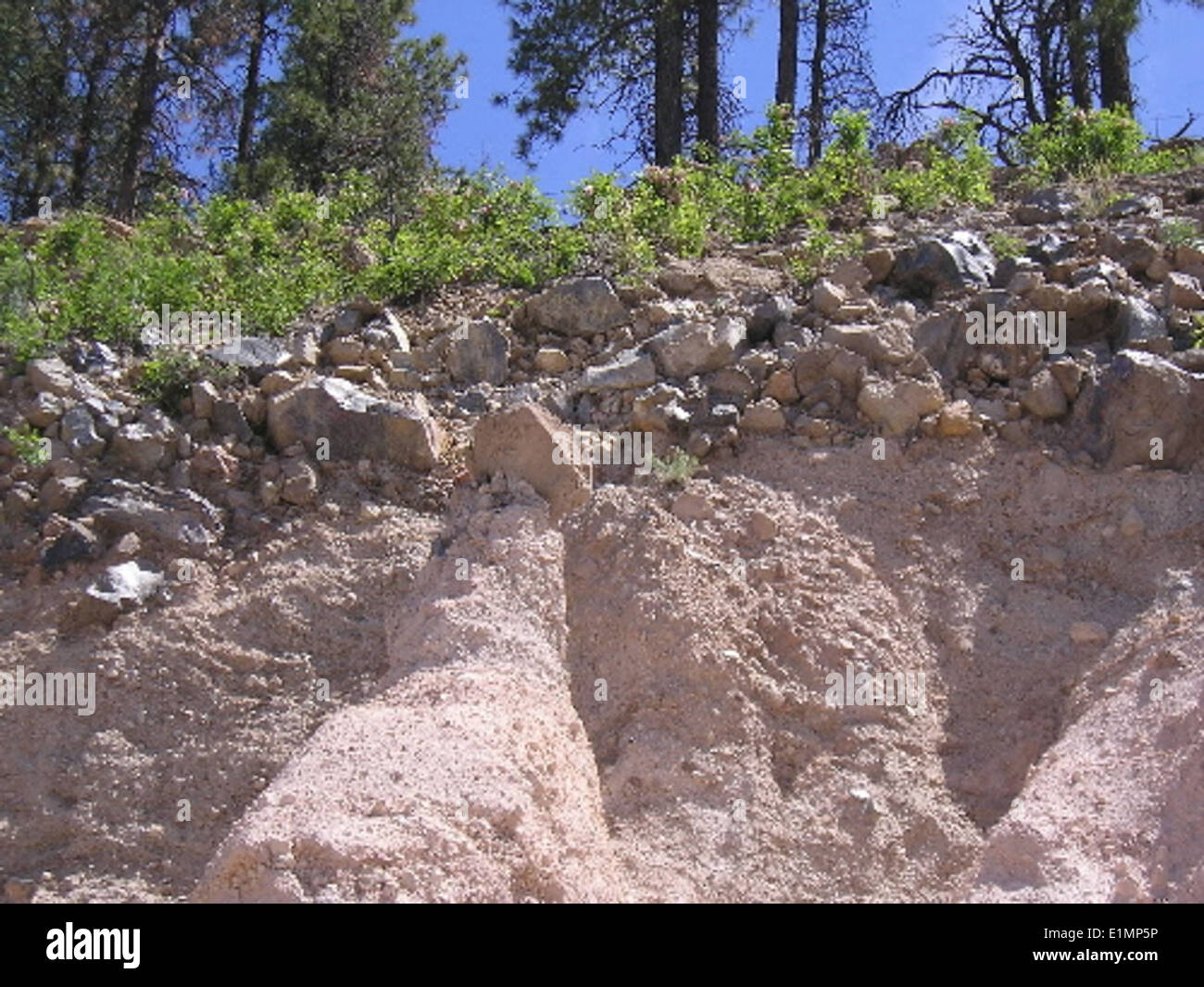 Pomice e ossidiana, entrambe rocce ignee vulcaniche, sono esposte da vicino, evidenziando le loro caratteristiche e origini uniche. Queste rocce sono formate dall'attività vulcanica e sono importanti per comprendere i processi geologici. Foto Stock