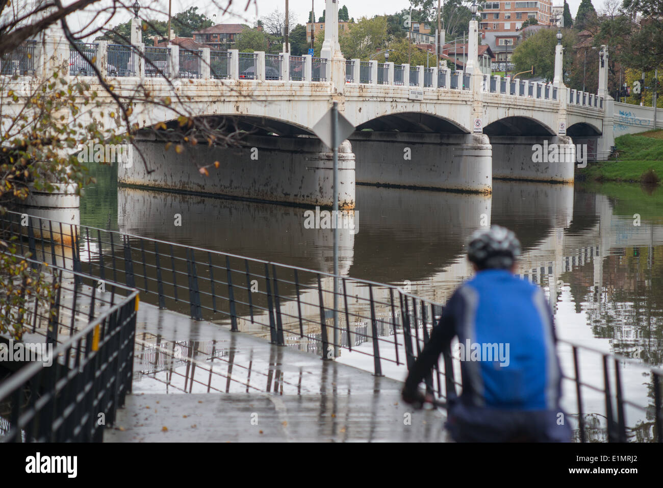 Ciclista sul sentiero di Yarra di Melbourne Foto Stock